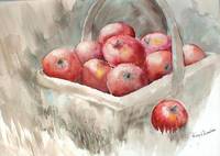 Apple Basket