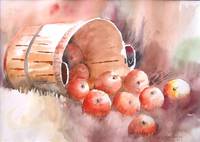 Apple Basket