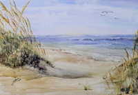 Sea Oats