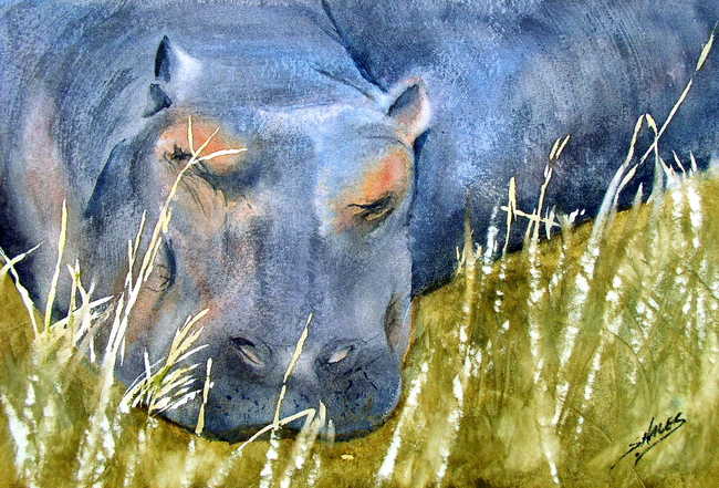 Sleeping Hippo
