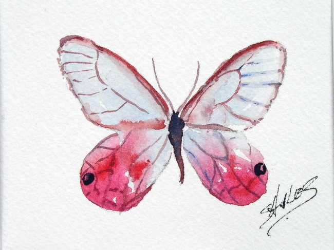 Tropical Butterflies Pink