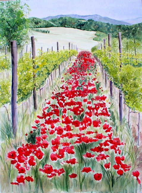 Tuscan Vineyard
