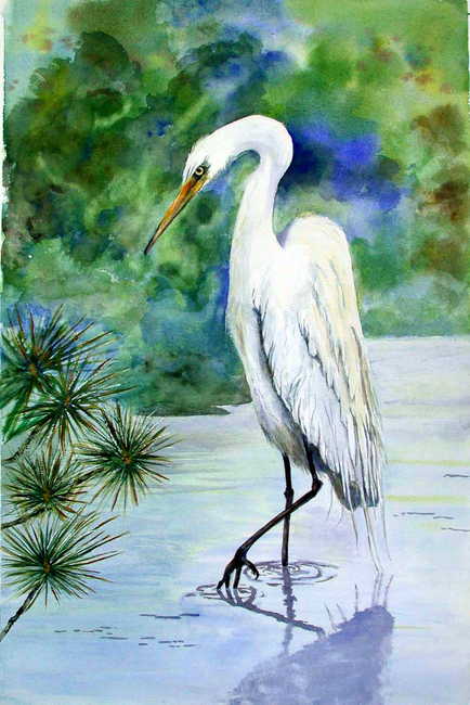White Egret, Wading