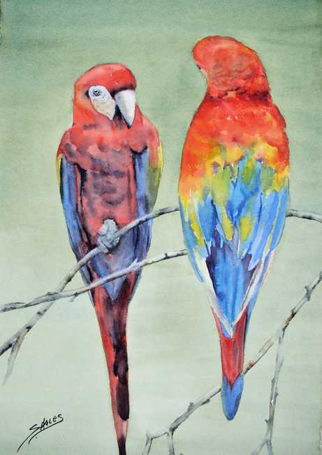 Your Branch or Mine?