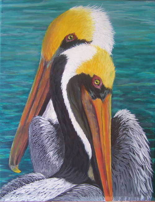 Love Pelicans