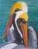 Love Pelicans