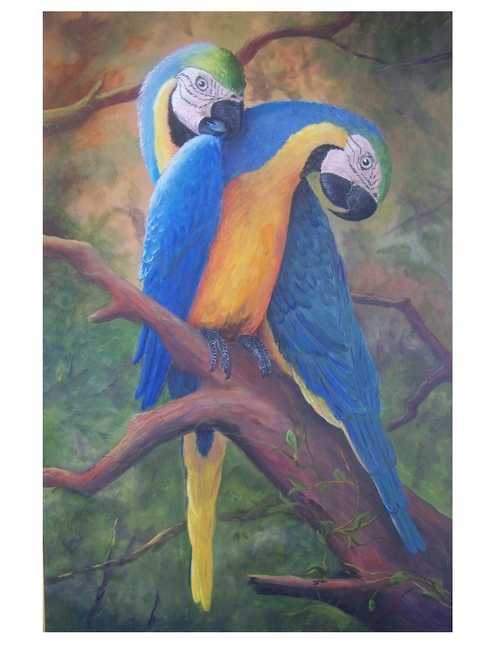 Love Macaws I
