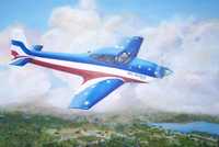Randy's Plane