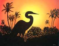 Sleeping Egret