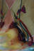Contemporary Grapes