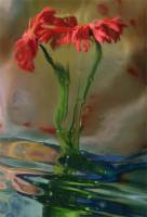 Flowers Afloat