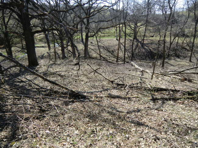 Brush Work Grotto 3/12 #2