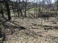 Brush Work Grotto 3/12 #2