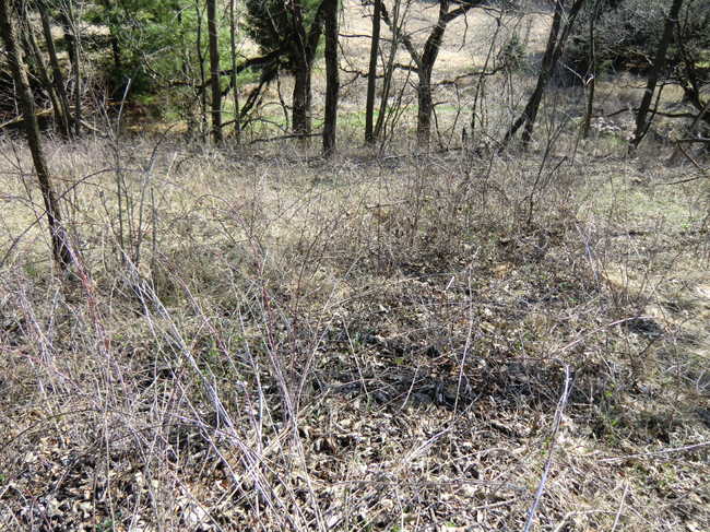 Brush Work Grotto 3/12 #1