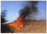 2006 Prairie Burn