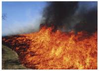 2006 Prairie Burn
