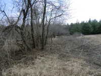 Brush Work East 3/12 #5