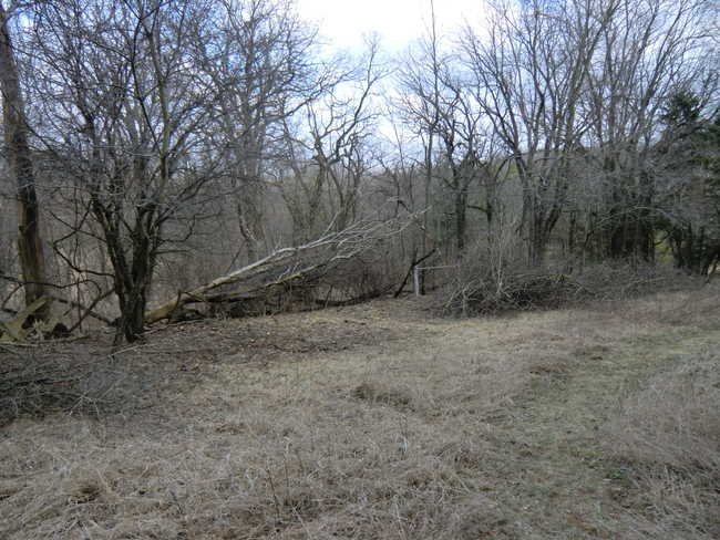 Brush Work East 3/12 #3