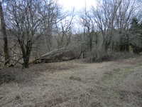 Brush Work East 3/12 #3