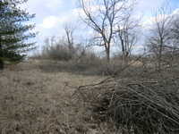 Brush Work East 3/12 #1