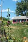 July Garden