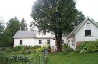 House and Potting Shed East Face