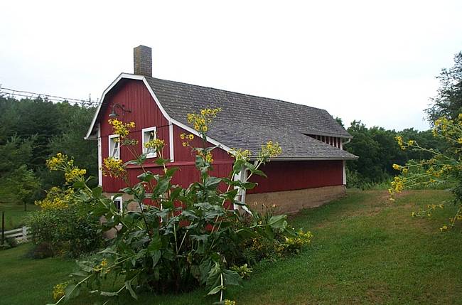 Hog House from Above