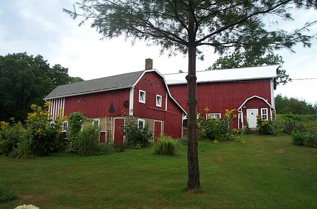 Hog House and Big Barn