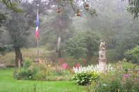 August Morning Yard 2