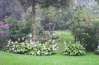 August Morning Entry West