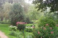 August Morning Driveway West