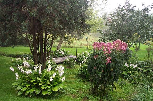 August Morning Bridge