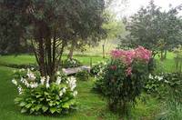 August Morning Bridge