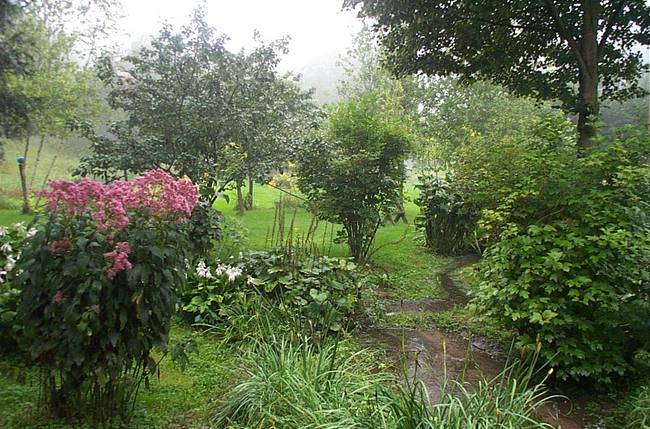 August Morning West 2