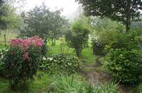 August Morning West 2