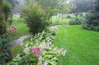 August Morning Swollen Stream