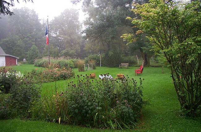 August Morning Full Yard