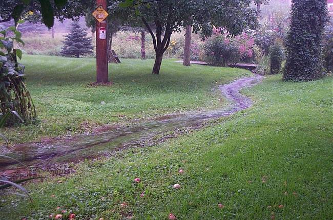 August Morning Rushing Stream