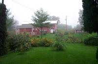 August Morning barn
