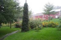 August Morning Stream and Barn