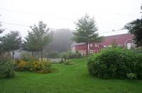 August Morning Barnyard