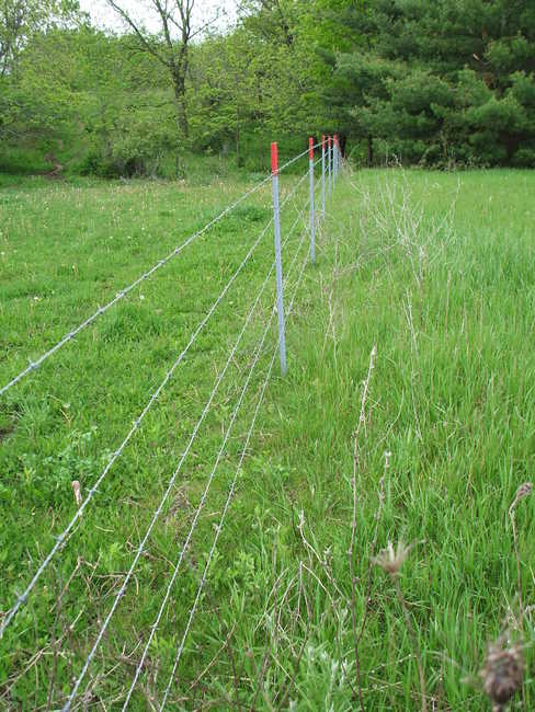 New Fence 2008
