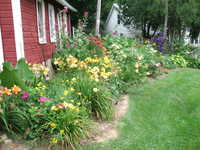 South Facing Planting Bed