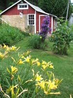 Hen House Gallery, 2010