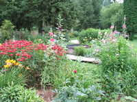 Garden View Scarlet, Monarda, July 2010