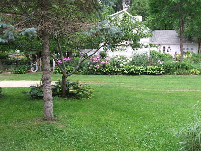 Front Yard - July 2010