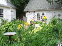 View to Terrace (pump location)