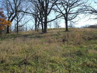 Oak Savannah Nov. 07