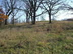 Oak Savannah Nov. 07