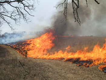 2008 Prairie Burn
